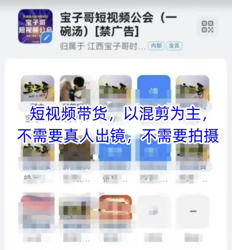 宝子哥头部团队短视频带货，以混剪为主，不需要真人出镜，不需要拍摄【更新11月】-极速搞钱云网创