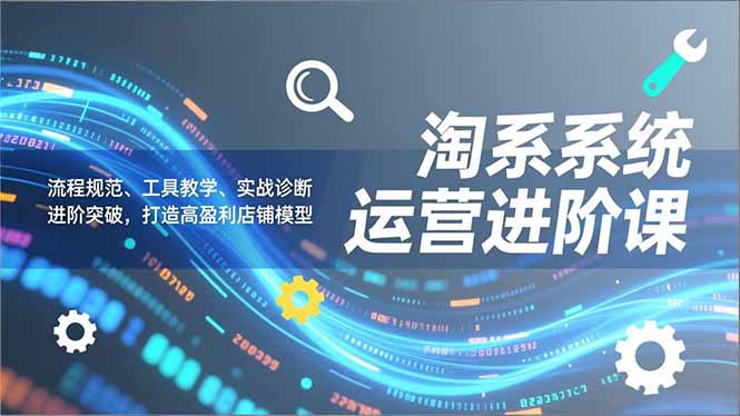 淘系系统运营进阶课2.0，流程规范、工具教学、实战诊断，进阶突破，打造高盈利店铺模型-极速搞钱云网创