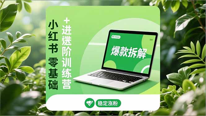 小红书零基础+高阶训练营：安全养号、爆款拆解、长效运营，实现稳定涨粉与变现-极速搞钱云网创