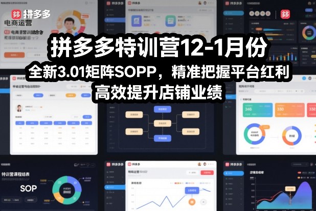 拼多多特训营12-1月份，全新3.01矩阵Sop，精准把握平台红利，高效提升店铺业绩-极速搞钱云网创
