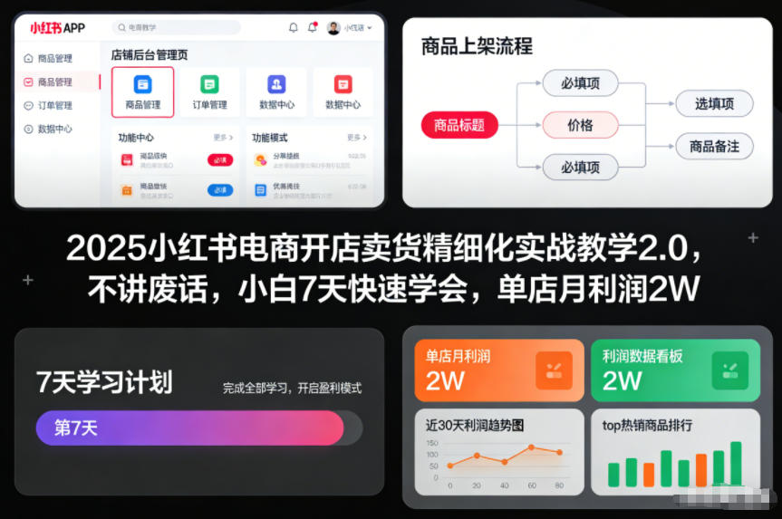 2025小红书电商开店卖货精细化实战教学2.0，不讲废话，小白7天快速学会，单店月利润2W-极速搞钱云网创