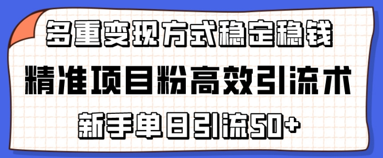 精准项目粉高效引流术，新手单日引流50+，多重变现方式稳定赚钱-极速搞钱云网创