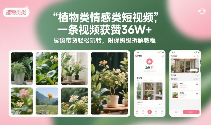 植物类情感类短视频，一条视频获赞36W+，橱窗带货轻松玩转，附保姆级拆解教程-极速搞钱云网创