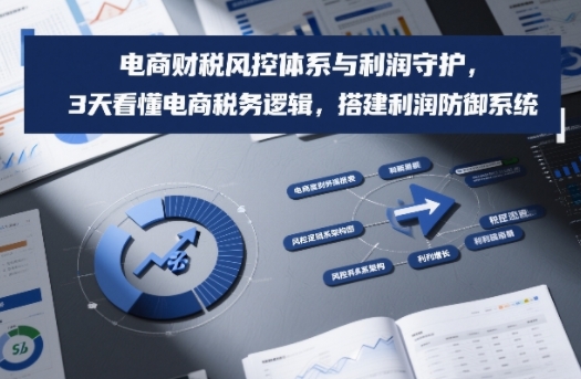 电商财税风控体系与利润守护，3天看懂电商税务逻辑，搭建利润防御系统-极速搞钱云网创