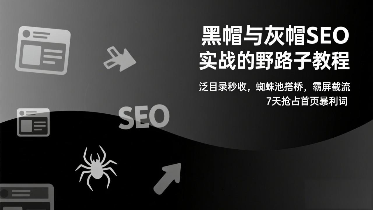 黑帽与灰帽SEO实战的野路子教程：泛目录秒收，蜘蛛池搭桥，霸屏截流，7天抢占首页暴利词-极速搞钱云网创