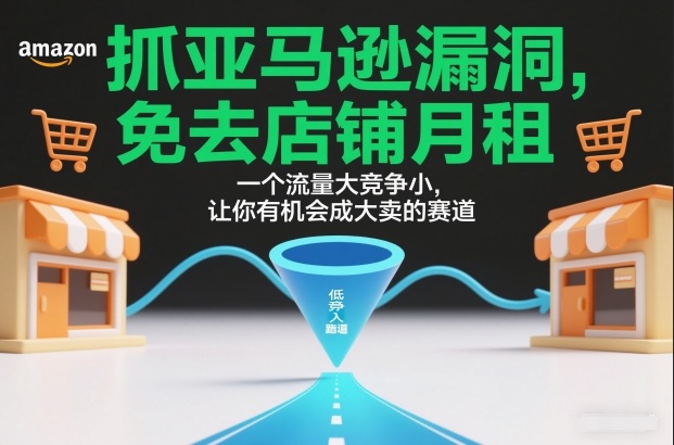 抓亚马逊漏洞，免去店铺月租，一个流量大竞争小，让你有机会成大卖的赛道-极速搞钱云网创